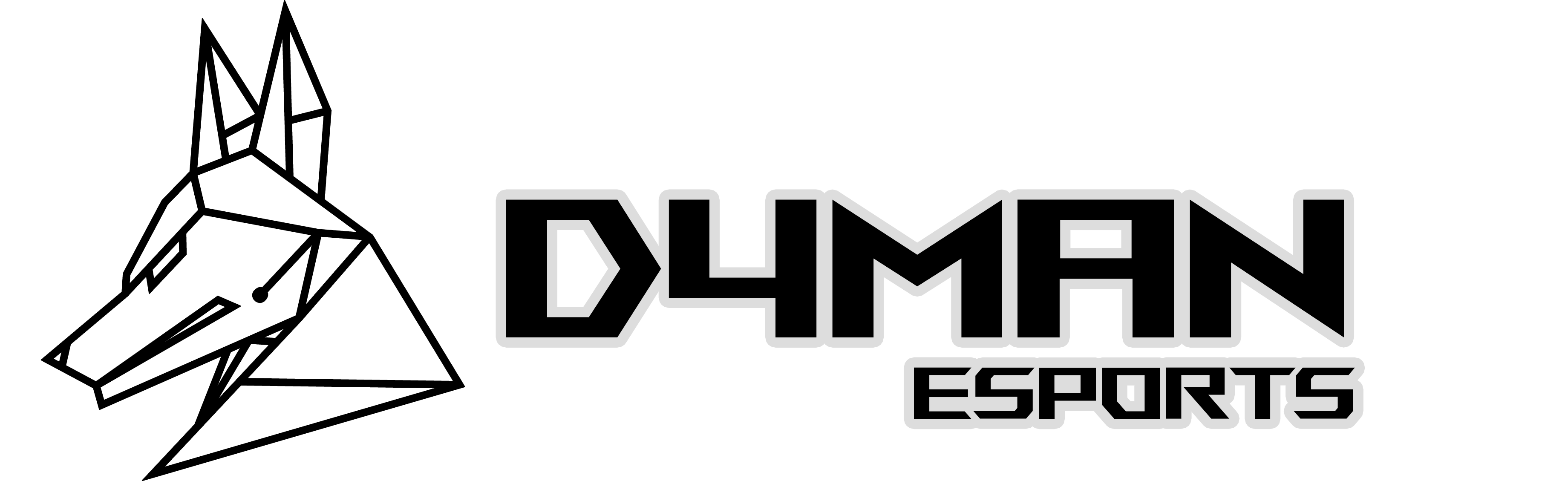 D4MAN ESPORTS BRETAGNE